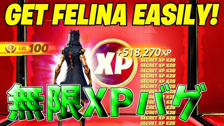 【最速レベル上げ無限XP】無料スキンを最速で入手したい人必見！簡単に50レベアップ！【フォートナイト】