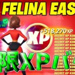 【最速レベル上げ無限XP】無料スキンを最速で入手したい人必見！簡単に50レベアップ！【フォートナイト】