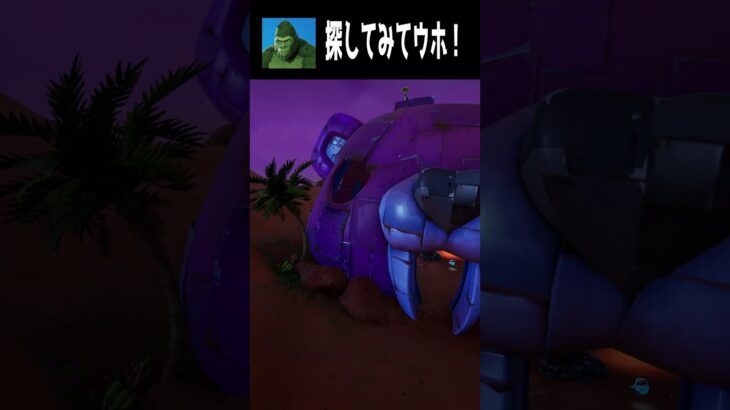 【10/30】見つけられたらすごい！てらごりをさがせ part３ #fortnite #フォートナイト  #shorts #かくれんぼ #ハロウィン