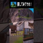 【11/10】見つけられたらすごい！てらごりをさがせ part２ #fortnite #フォートナイト  #shorts #かくれんぼ