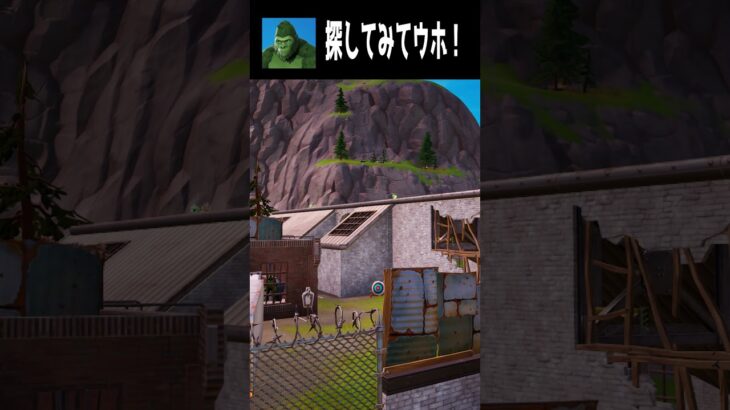 【11/10】見つけられたらすごい！てらごりをさがせ part２ #fortnite #フォートナイト  #shorts #かくれんぼ