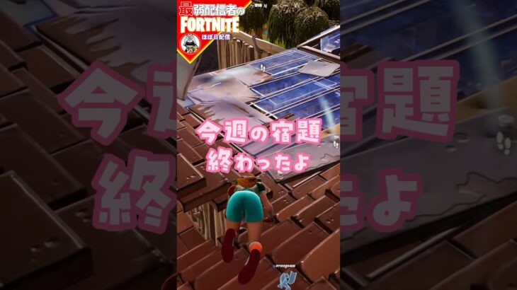 宿題終わった11/22 #フォートナイト#fortnite#shorts#tiktok#filmora#ライブ#ぽんこつ#ぼっち#エンジョイ#クエスト#攻略