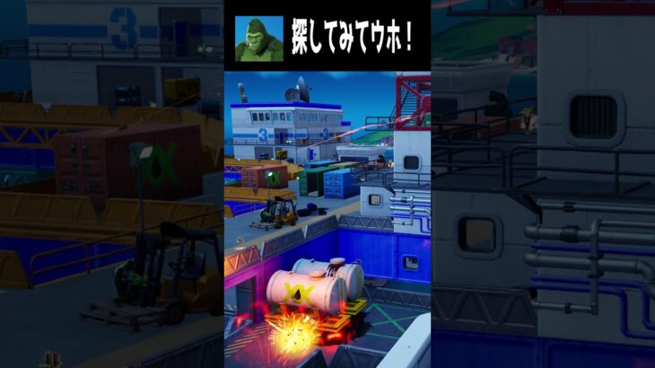 【11/25】見つけられたらすごい！てらごりをさがせ part３ #fortnite #フォートナイト  #shorts #かくれんぼ