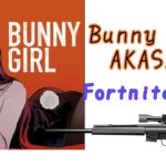 【Bunny Girl/AKASAKA】Fortniteスナイパーキル集New15