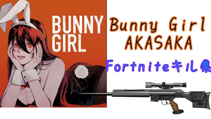 【Bunny Girl/AKASAKA】Fortniteスナイパーキル集New15