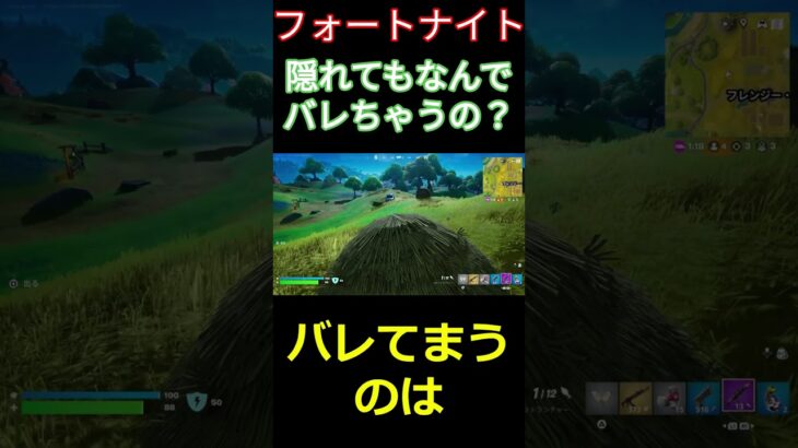 【フォートナイト】隠れてもなんでバレちゃうの？ #フォートナイト #FORTNITE #チャプター2 #shorts