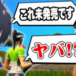 誰も持ってない”未発売スキン”を野良に自慢してみたｗｗ【フォートナイト/Fortnite】