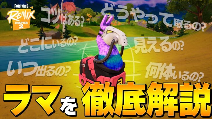 【解説】誰も知らない、今シーズンの『ラマ』について徹底解説！【フォートナイト/Fortnite】