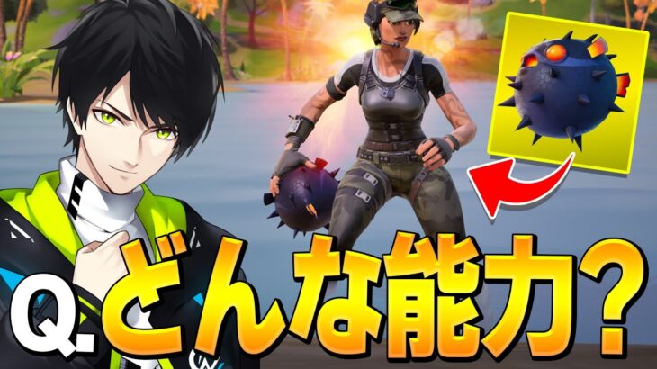 みんな覚えてる？『忘れられた最強アイテム』の使い方！【フォートナイト/Fortnite】