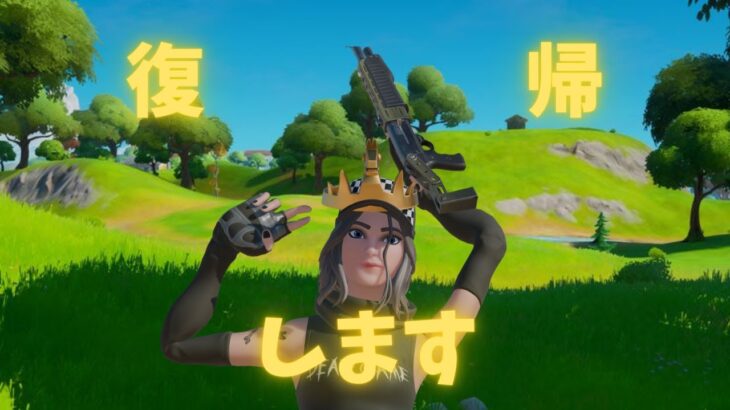 もう一度チャレンジしようかな【フォートナイト/Fortnite】