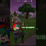 【Fortnite】【無双】30キルチャレンジ、リベンジ編！#short