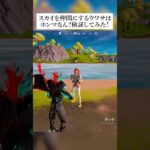 スカイを仲間にする噂はホンマなん？検証してみた！ #フォートナイト #fortnite #小技 #小ネタ