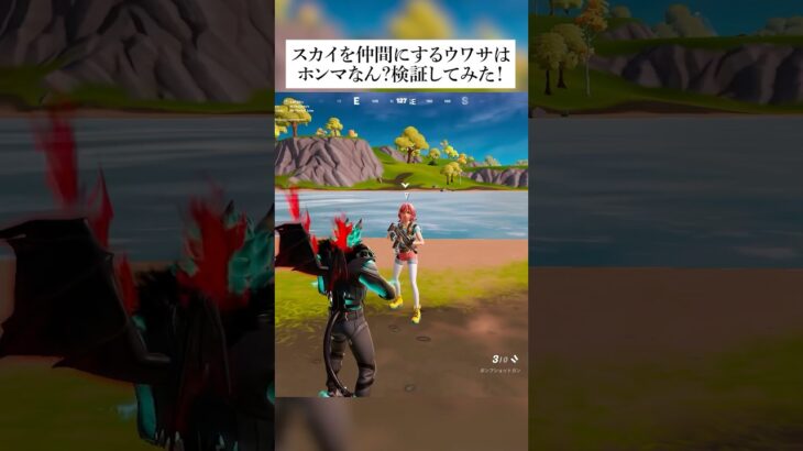 スカイを仲間にする噂はホンマなん？検証してみた！ #フォートナイト #fortnite #小技 #小ネタ