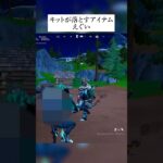 キットがたまに落とすこのアイテムやばすぎる… #フォートナイト #fortnite #小技 #小ネタ