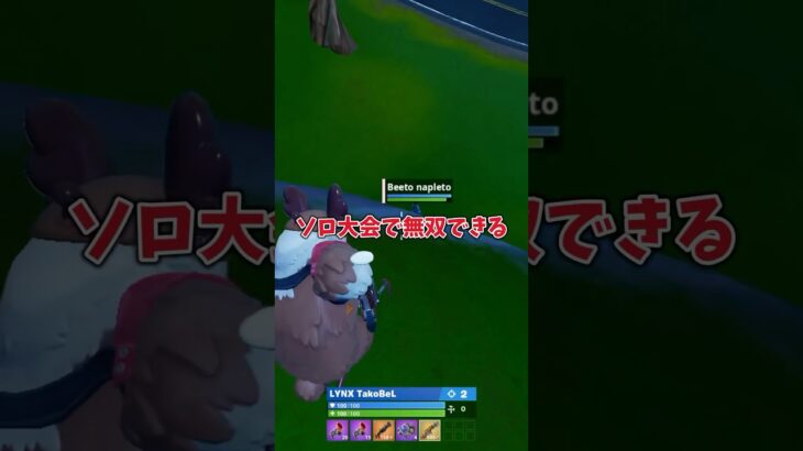 大会で無双できる神スキン？！#フォートナイト #ゼロビルド #fortnite