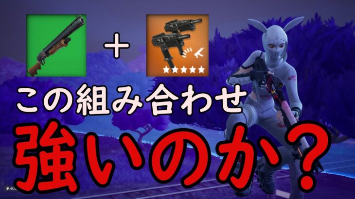 強いのか？強くないのか？どっちなんだい！［フォートナイト/fortnite／ゼロビルド］