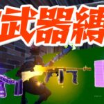 プロになる男は白武器縛りで勝てるのか!? 【fortnite/フォートナイト】