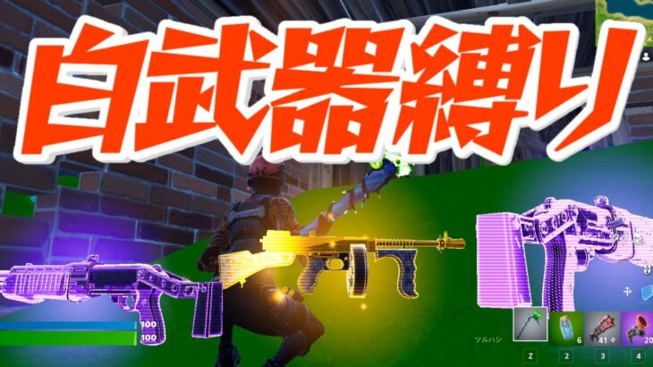 プロになる男は白武器縛りで勝てるのか!? 【fortnite/フォートナイト】