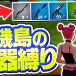 待機島で拾った武器縛り 【fortnite/フォートナイト】