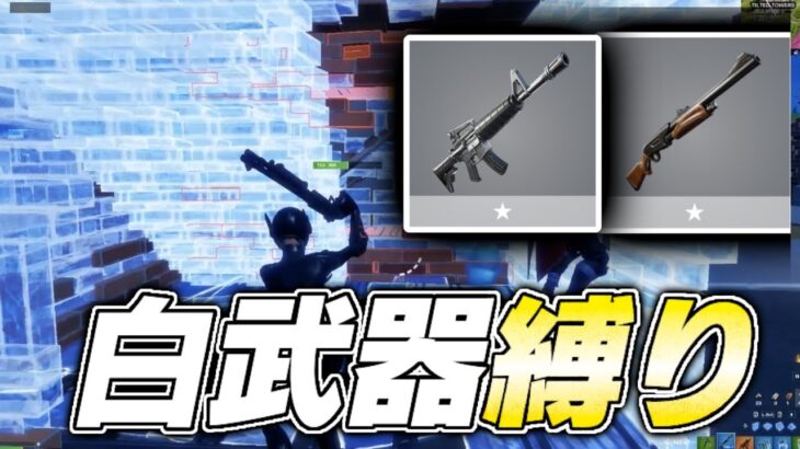 白武器縛りしてみた！ 【フォートナイト】