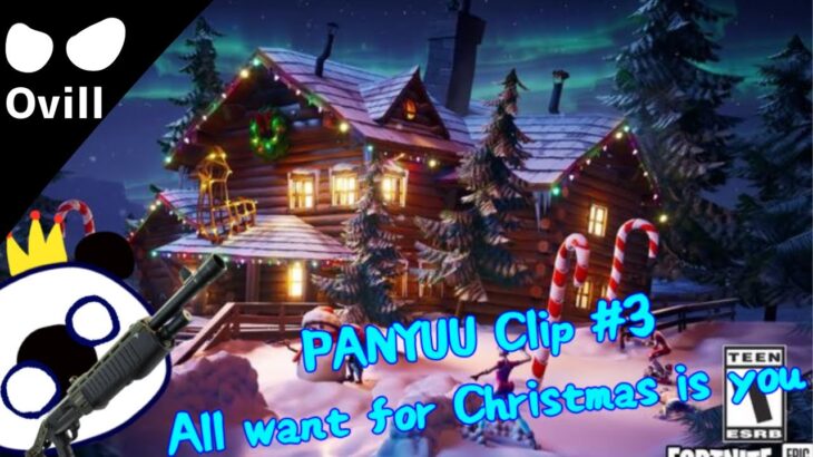 PANYUU Clip #3#fortnite #フォートナイト #フォトナキル集 #fortniteclips #christmas