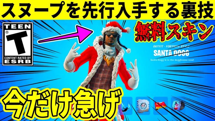 冬の無料スキン！サンタスヌープを先行で簡単に入手する方法を解説！【フォートナイト】【フォトナ】【リーク情報】【やり方】【無料アイテム】スヌープドッグ,ウィンターフェスト,裏技,ロッジ,無料報酬,アプデ