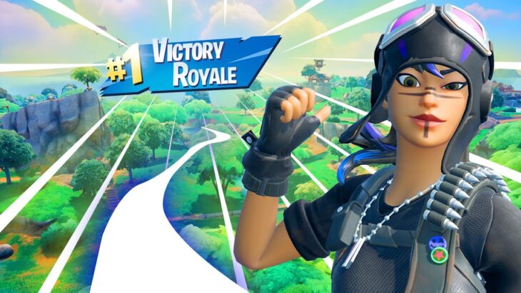 【大口叩いて実行できたら高評価チャレンジ】ソロでビクロイ！配信実況者【フォートナイト/Fortnite】