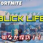 【LEGO FORTNITE BRiCK LiFE】レゴフォートナイトブロックライフ！ブロック・ベイ探訪！《ブロックライフ》【※ネタバレ注意】