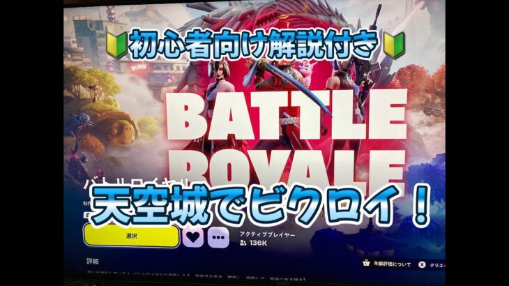 フォートナイト11本目 「天空城でビクロイ！」 100日間やって何回ビクロイ取れるか、リアルチャレンジ！毎日夕方5時にUP！