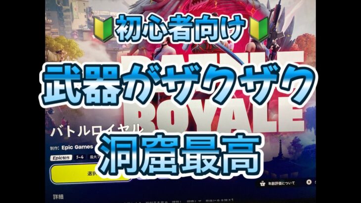 フォートナイト14日目「武器がザクザク 洞窟最高」100日間やって何回ビクロイ取れるか、リアルチャレンジ！毎日夕方5時にUP！