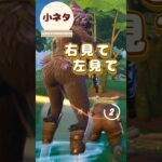 【あるある】安全確認大事だね★ 建築苦手な人にありがちなこと【フォートナイト – Fortnite – 】