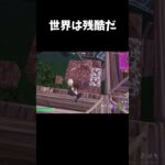 もう二度とやりません #フォートナイト #フォトナキル集 #fortnite #shorts #フォトナ