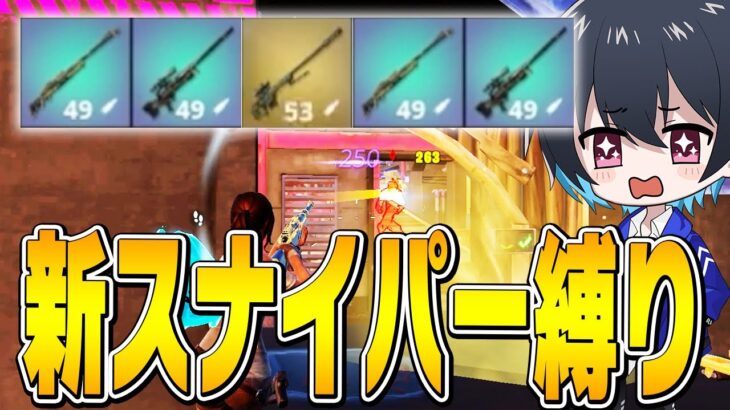 3種類のSRだけでソロランク勝てるのか！？【フォートナイト/Fortnite】