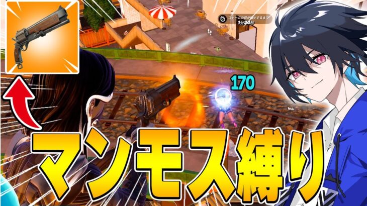 強過ぎて消された『マンモスピストル』だけでソロランクに挑戦!!【フォートナイト/Fortnite】