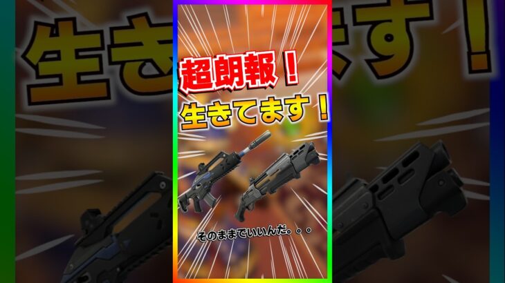 超朗報‼️‼️消されるとリークされていたみんなの大好き武器がまだ生きてます‼️‼️【フォートナイト/fortnite】