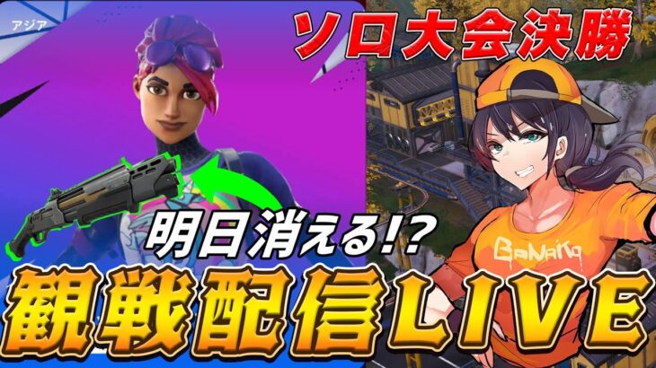【ソロ決勝観戦】センチネルポンプ環境最後の戦いになるのか？【フォートナイト】