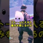 精霊がかわいそすぎる【フォートナイト雑学3】