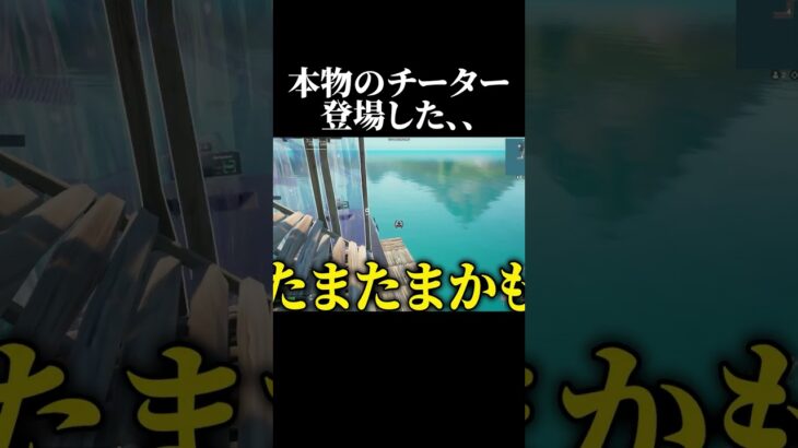 ガチのチーターがDMにきた、、 #フォートナイト #fortnite #shorts #チーター