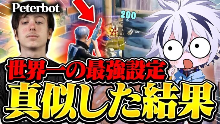 世界王者ピーターボットの設定丸パクリしたら最強なれる説⁉︎【フォートナイト/FORTNITE】