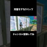 完璧すぎるクリップ【フォートナイト/FORTNITE】