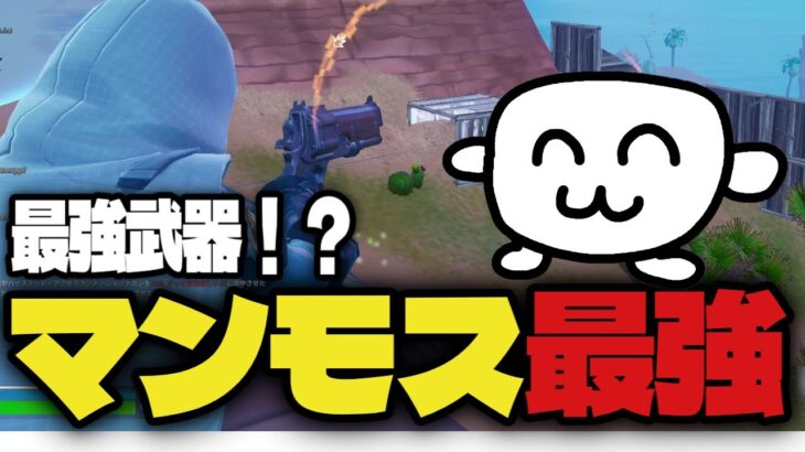 リロード最強武器はあの武器は「マンモスピストル」 [フォートナイト/Fortnite]