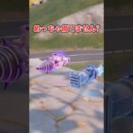 【フォートナイト検証】似たもの同士の戦い【フォートナイト/Fortnite】【ゆっくり茶番】#shorts