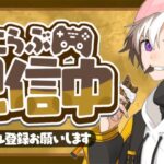 ネフさんとデュオ大会！Top100でスキン