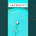 リロード新マップでひとりでダウン状態から復活できる場所があるってホンマなん！？検証きてみたんやで #フォートナイト #fortnite #小技 #小ネタ