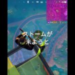 絶対降りない#フォートナイト  #フォートナイト初級者 #fortnite #フォート #フォートナイト夫婦 #フォートナイトエンジョイ勢 #shorts #fortniteclips