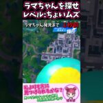 【超激ムズ！】あなたはこの状況でラマちゃんを見つけられますか？　skybase　＃ラマちゃんを探せ #shorts　＃フォートナイト