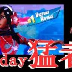 【フォートナイト】スキンコレクターの猛者