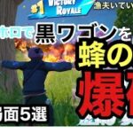 [フォートナイト /ゼロビルド]エキゾホロで蜂の巣ワゴン爆破ビクロイ最高😀