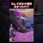 なんでおれの場所分かったの？【フォートナイト】