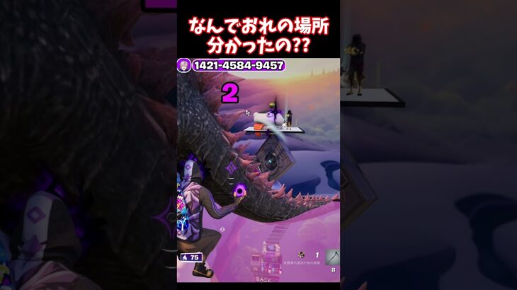 なんでおれの場所分かったの？【フォートナイト】